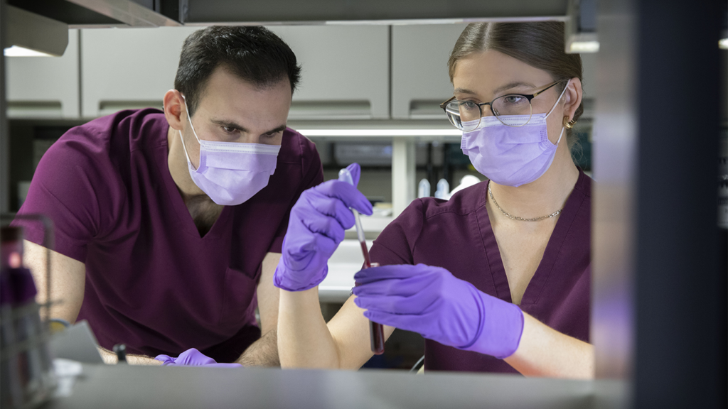 Two people wearing purple scrubs, masks, and gloves examine a test tube in a laboratory setting.